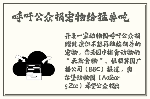 美女张开腿黄网站免费下载